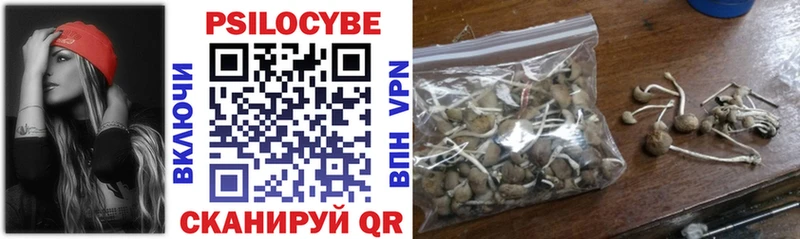 Купить закладки  Борисоглебск  Псилоцибиновые грибы Psilocybine cubensis 